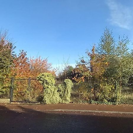 Peaceful Home From Home - Spacious 3 Bedroom House Accommodating 7 - Ideal For Families And Workers Gateshead Exterior foto